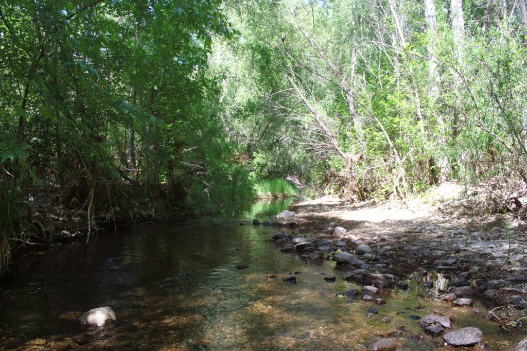 Tenencia legal de la tierra